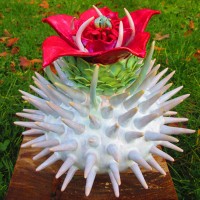 Spikey White by Frances Doherty